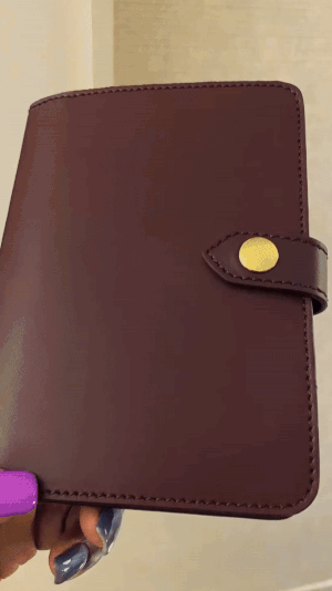 Sydney Passport Holder in Bordeaux - Silver & Riley