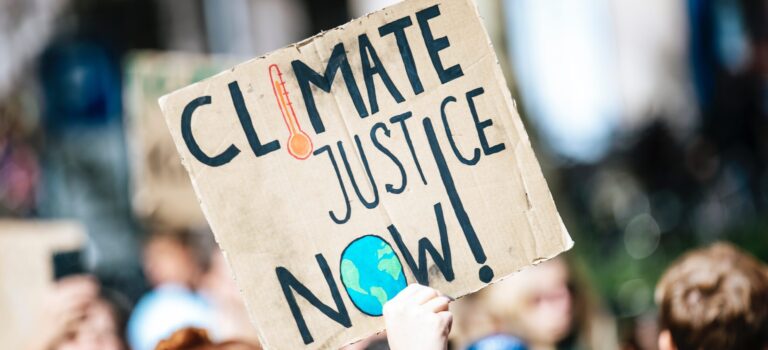 The New Material Economy: How Climate Policy Is Reshaping Leather, Textiles, and the Global Luxury Supply Chain